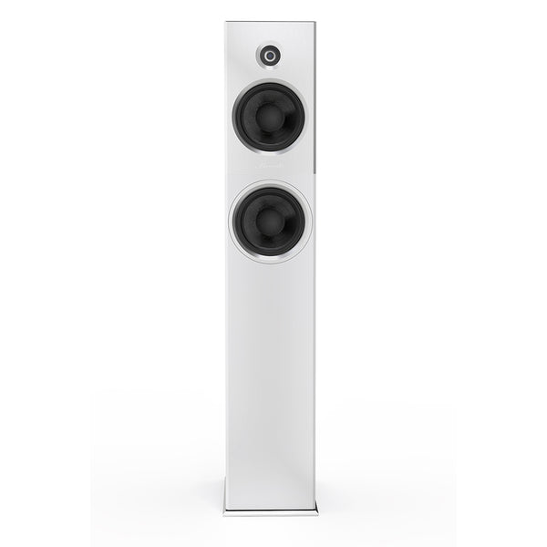 Burmester B18 Floorstanding Speaker